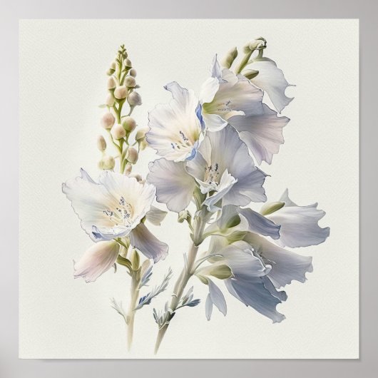 Witte Larkspur Bloemenkunst Print Poster (Voorkant)
