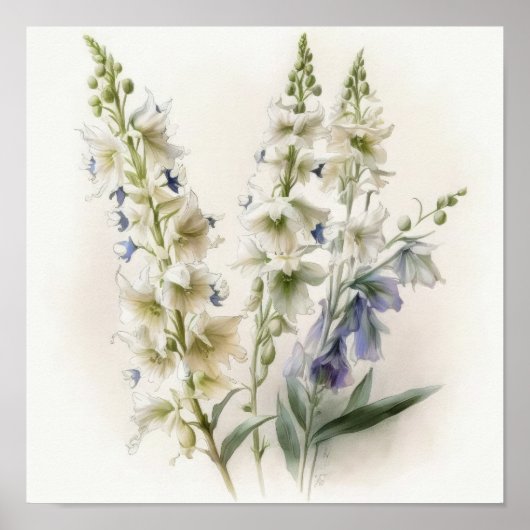 Witte Larkspur Bloemenkunst Print Poster (Voorkant)