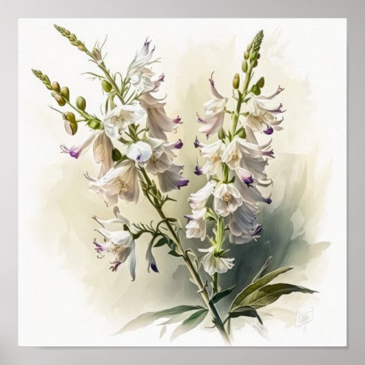 Witte Larkspur Bloemenkunst Print Poster (Voorkant)