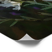 Witte Larkspur Bloemenkunst Print Poster (Hoek)