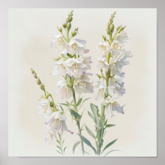 Witte Larkspur Bloemenkunst Print Poster (Voorkant)