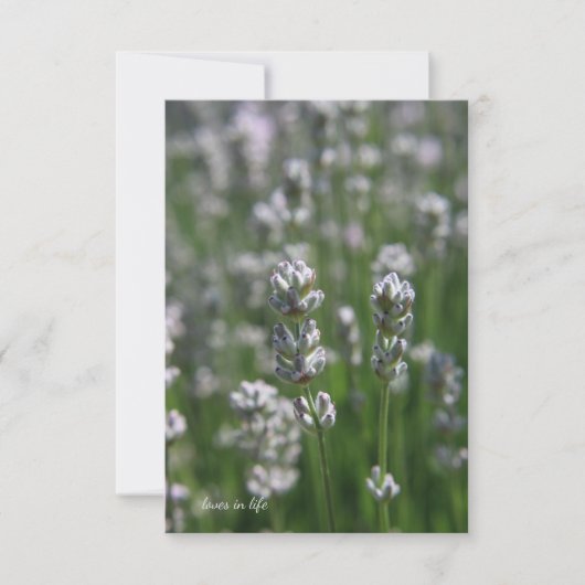 witte lavendel notitiekaartje (Voorkant)