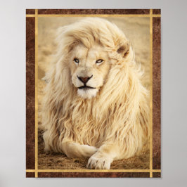 Witte Leeuw Foto Poster