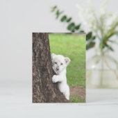 Witte leeuwenkub verschuilt zich achter een boom. briefkaart (Staand voorkant)