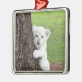 Witte leeuwenkub verschuilt zich achter een boom. metalen ornament (Links)