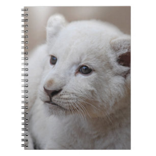 Witte leeuwenwelp van zes weken oud notitieboek