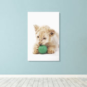 Witte leeuwerik (Panthera leo krugeri) Canvas Afdruk (Insitu (Houten vloer))