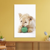 Witte leeuwerik (Panthera leo krugeri) Canvas Afdruk (Insitu (Woonkamer))