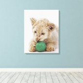 Witte leeuwerik (Panthera leo krugeri) Canvas Afdruk (Insitu (Houten vloer))