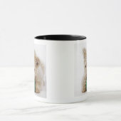 Witte leeuwerik (Panthera leo krugeri) Mok (Midden)