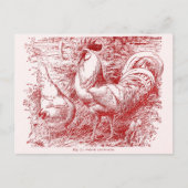 Witte Leghorn in rood Briefkaart (Voorkant)
