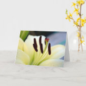 Witte Lelie 1 Kaart (Gele Bloem)