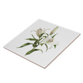 Witte Lelie Aziatische bloemen Botanische kunst Tegeltje (Zijkant)