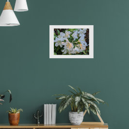 Witte lelie bloeit bloemfotoposter poster