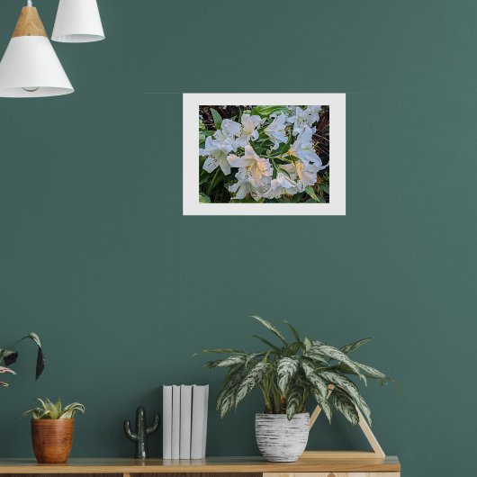 Witte lelie bloeit bloemfotoposter poster (Woonkamer 1)