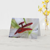 Witte lelie, bloem. kaart (Gele Bloem)