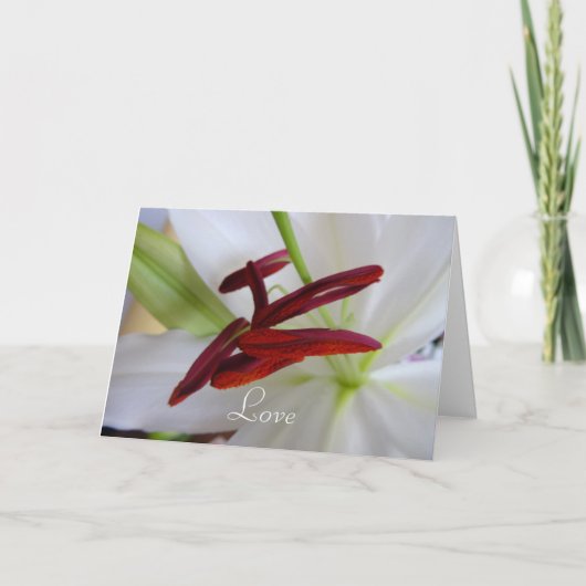 Witte lelie, bloem. kaart (Voorkant)