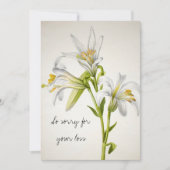  witte lelie bloemen sympathie kaart (Voorkant)