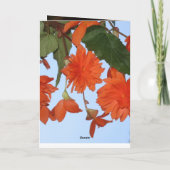 Witte Lelie Bloemen Vredeskantoor Liefde Lotsbeste Kaart (Achterkant)