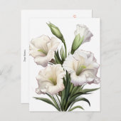 WITTE LELIE BRIEFKAART (Voorkant / Achterkant)