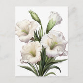 WITTE LELIE BRIEFKAART (Voorkant)