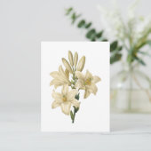 witte lelie (candidum Lilium) door Redouté Briefkaart (Staand voorkant)