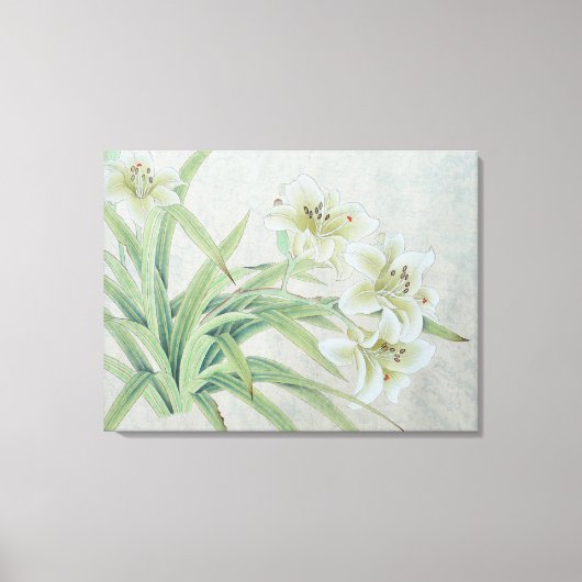 Witte lelie canvas afdruk (Voorkant)