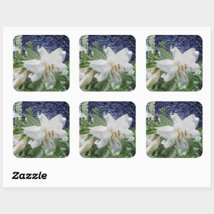 Witte lelie in een tuin vierkante sticker