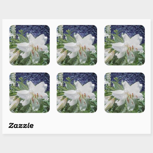Witte lelie in een tuin vierkante sticker (Vel)