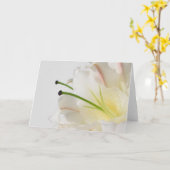 Witte lelie met gele kern voor elke gelegenheid kaart (Gele Bloem)