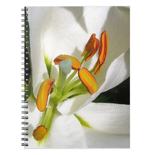 Witte Lelie Notitieboek (Voorkant)