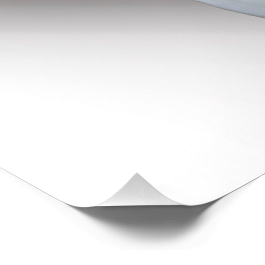 witte lelie poster (Hoek)