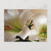 Witte Lelie Tafel Nummer Kaart (Achterkant)