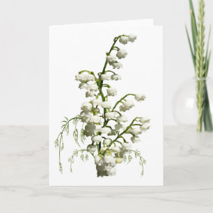 Witte lelie van de vallei bloemen kaart