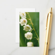 Witte Lelie van de vallei (Convallaria majalis)