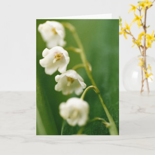 Witte Lelie van de vallei (Convallaria majalis) Kaart (Gele Bloem)