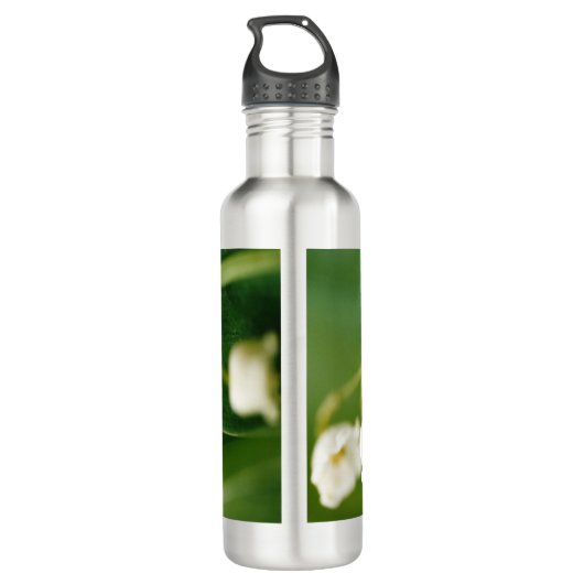 Witte Lelie van de vallei (Convallaria majalis) Waterfles (Achterkant)