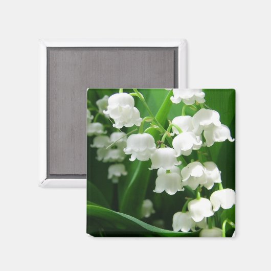 Witte Lelie van de Vallei Magnet (Voorkant / Achterkant)