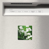 Witte Lelie van de Vallei Magnet (Insitu (Vaatwasser))