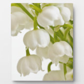 Witte lelies fotoplaat (Voorkant)