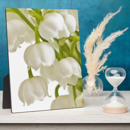 Witte lelies fotoplaat (Zijkant)