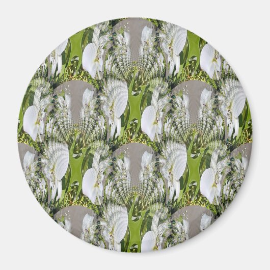 Witte Lelies....... Magneet (Voorkant)
