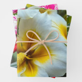 Witte lelies met heldere gele centra inpakpapier vel (In situ)