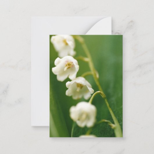 Witte Lelietje-van-dalen (Convallaria majalis)  Notitiekaartje (Voorkant)
