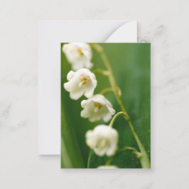 Witte Lelietje-van-dalen (Convallaria majalis)  Notitiekaartje