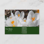 witte lentbloemen visitekaartje (Achterkant)