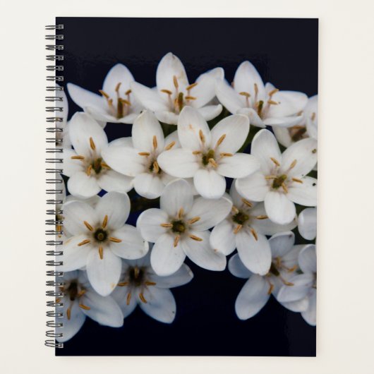 Witte Lente Bloemen 2024 Planner (Voorkant)