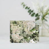 Witte Lente Bloesem Bloem Fotografie Briefkaart (Staand voorkant)