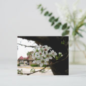 Witte Lente Bloesem Macro Fotografie Briefkaart (Staand voorkant)