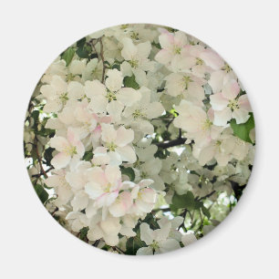 Witte Lente Bloesems Bloem Fotografie Magneet